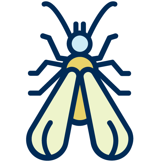 Diagnostic termites Pleine-Fougères (35610)